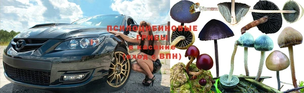 прущий лед Покров