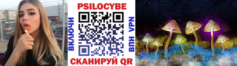 Галлюциногенные грибы Psilocybe Нововоронеж