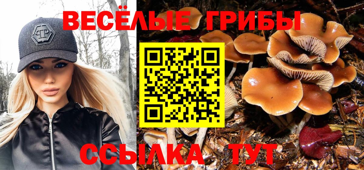 Нововоронеж  Псилоцибиновые грибы MAGIC MUSHROOMS  Вход с VPN 