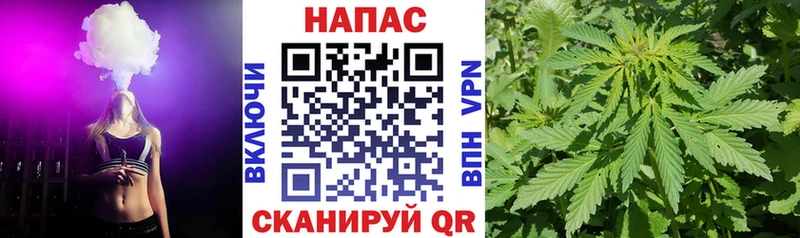 Каннабис ГИДРОПОН  omg маркетплейс  Нововоронеж  где продают  